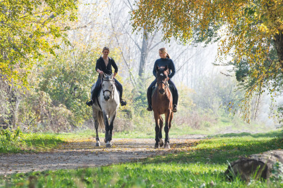 Reiten - Sommerurlaub in Radstadt, Salzburg